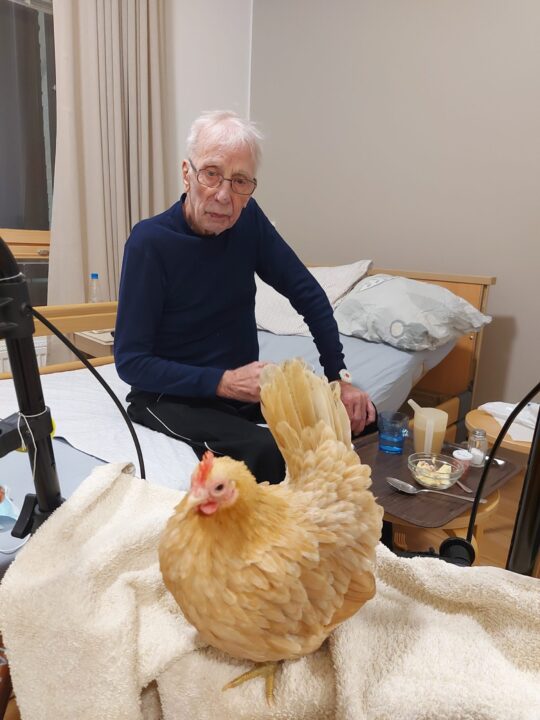 Vanhuksille suunnattuja esityksiä